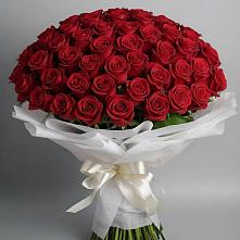 Букет 101 Красная роза Блэк Мэджик в Лесогорском