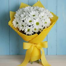 Букет цветов из:  Хризантемы в Лесогорском