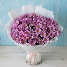 Букет цветов из:  Хризантемы в Лесогорском