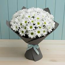 Букет цветов из:  Хризантемы #REPLACE_PRED# Лесогорском