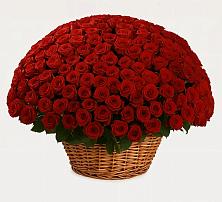 Премиум букет из: Розы #REPLACE_PRED# Лесогорском